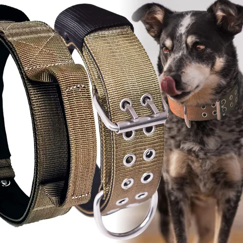 Vista 8 de Collar de perro grande resistente – 2 pulgadas de ancho con asa para perros de razas extra grandes, collar táctico de nailon a prueba de mordidas