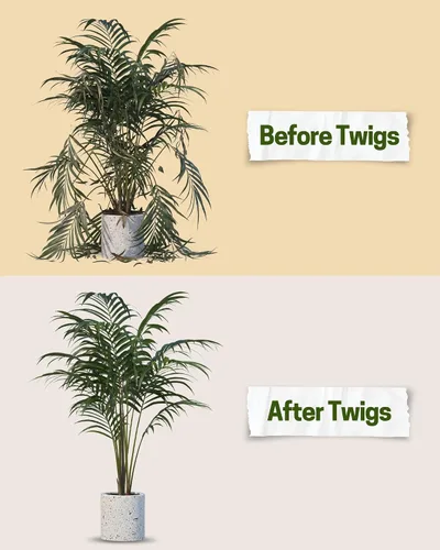 Vista 4 de Twigs GA - Estacas de soporte para plantas para uso en interiores y exteriores, alternativa duradera de enrejado para plantas trepadoras