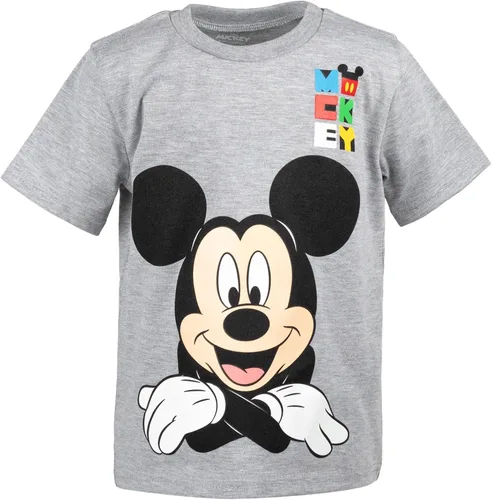 Vista 3 de Disney Mickey Mouse Pixar Toy Story Winnie The Pooh Pixar Cars Lion Guard - Paquete de 2 camisetas para niños pequeños, GrisBlanco
