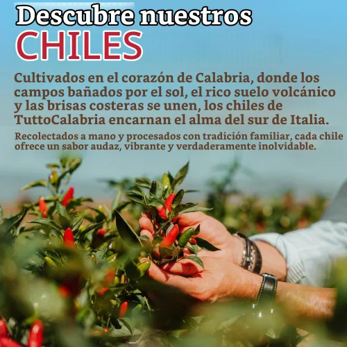 Vista 6 de TUTTOCALABRIA Chili Calabrian Picado en Tarro de Vidrio 6.5 oz (185 g)