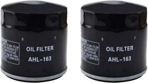 Vista 5 de AHL 163 - Filtro de aceite para BMW R850C Euro 850 2000 2001