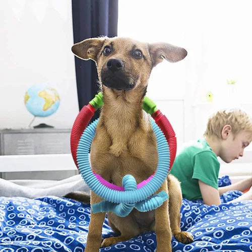 Vista 5 de Juguetes sensoriales Pop Tubes, juguetes sensoriales para niños y adultos, tubos multicolor para reventar juguetes sensoriales (M-(paquete de 6))