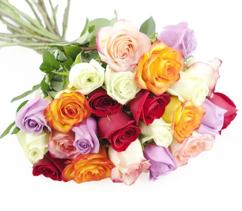 Vista 42 de KaBloom - Rosas arcoíris (media docena)- Flores frescas para cumpleaños, San Valentín y Día de la Madre