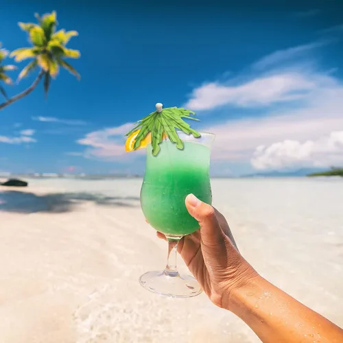 Vista 3 de 50 sombrillas de cóctel para bebidas, palillos de dientes de palmera de coco
