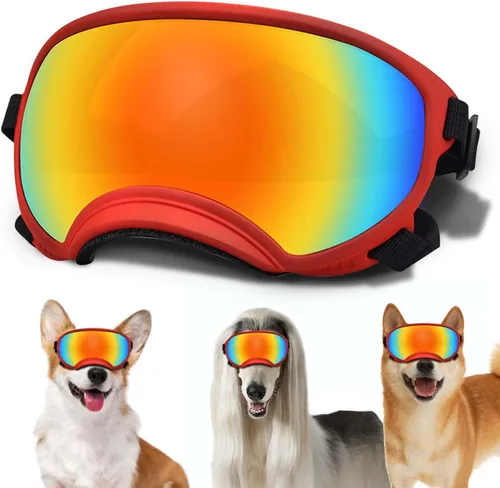 Vista 22 de Gafas de sol para perros medianos con correa ajustable, protección UV, gafas de sol para cachorros a prueba de viento, adecuadas para mascotas
