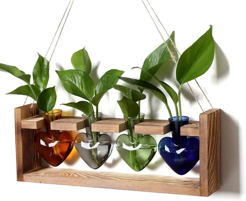 Vista 8 de Estaciones de propagación de plantas, kit de terrario de plantas de corazón, regalo para mujeres, amantes de las plantas, jarrones de vidrio Ámbar