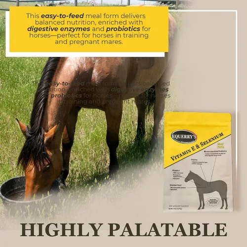 Vista 3 de Equerry's Suplemento de selenio y vitamina E para caballos Salud muscular y antioxidante Suplemento para caballos Forma de comida Bolsa de 20