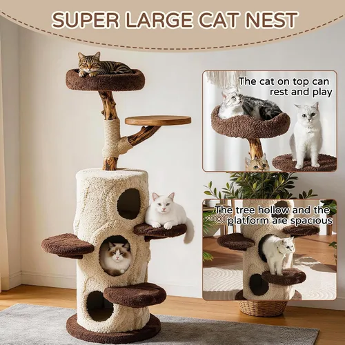 Vista 6 de RPZ Árbol para gatos de madera maciza de lujo de 54.7 pulgadas para gatos pequeños a medianos, poste rascador de madera natural con rama real