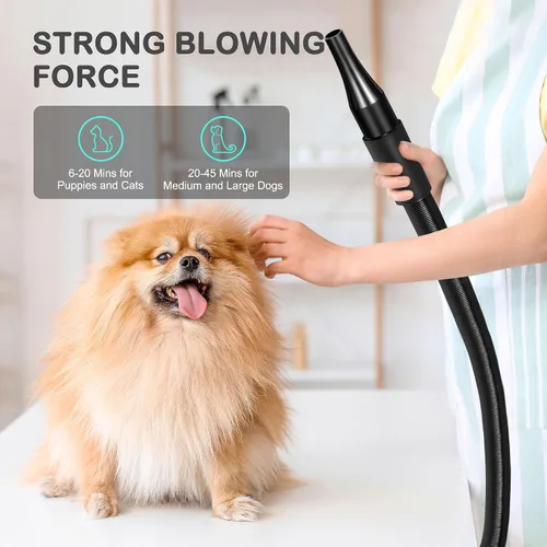 Vista 7 de Nova Microdermabrasion Secador de fuerza de pelo de mascotas de alta velocidad, soplador profesional de aseo de mascotas con 3 boquillas calentador