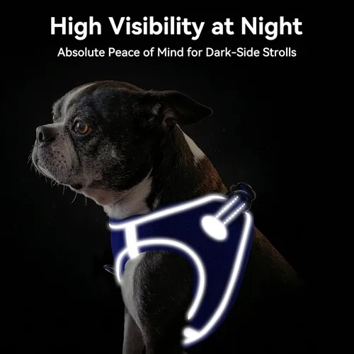 Vista 62 de Joytale Arnés para Perros Pequeños, Chaleco de Malla Transpirable Step-in, Arneses Acolchados Suaves Reflectantes para Gatos y Perros Cachorros
