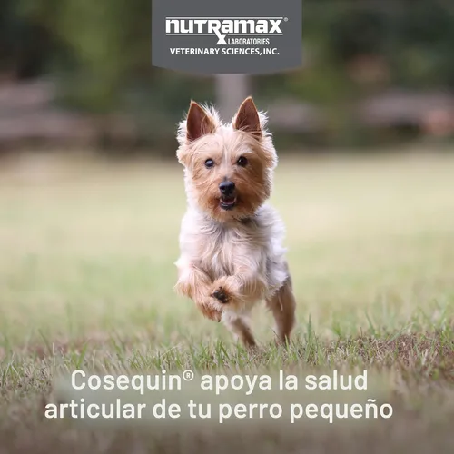 Vista 3 de Cosequin Minis - Masticables blandos de máxima fuerza con MSM Plus Omega3, 45