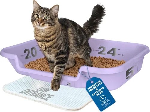 Vista 18 de KittyGoHere - Caja de arena para gatos mayores con cuchara, arena de playa