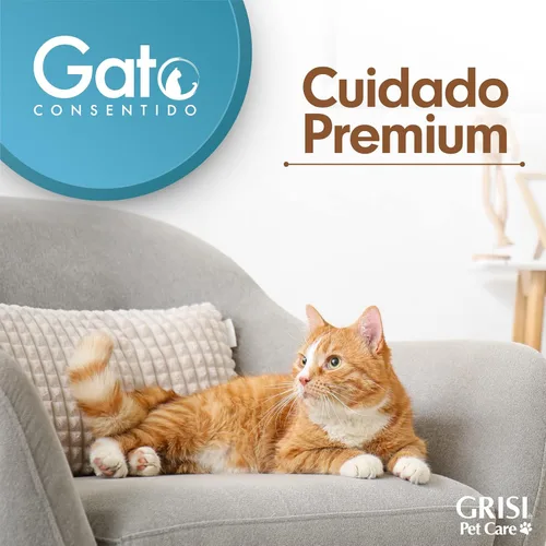 Vista 6 de Gato Consentido Espuma limpiadora de 5.1 fl oz Incluye un regalo: Jabón marroquí original de argan