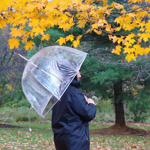 Vista 7 de Totes Adult Clear Bubble Umbrella with Dome Canopy and Lightweight Wind and Rain Protection