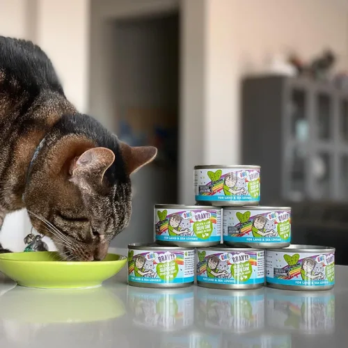 Vista 9 de Weruva B.F.F. OMG – mejor amigo felino Oh My Gravy! Latas de comida húmeda natural sin granos, recetas de tierra y mar en salsa