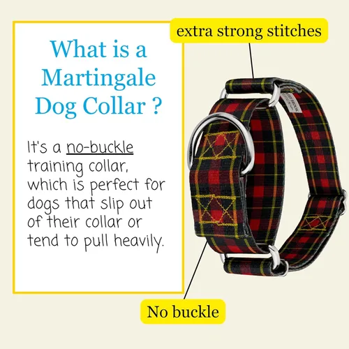 Vista 5 de Country Brook Petz - Collar de perro Martingala a cuadros de búfalo (1 1/2 pulgadas, mediano)