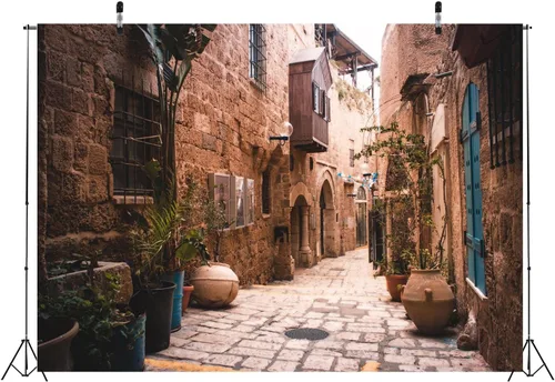 Vista 5 de BELECO Telón de fondo de tela de 5 x 3 pies, diseño de calle de la ciudad vieja, Israel, casas de piedra, macetas, nostalgia, fotos, fondo