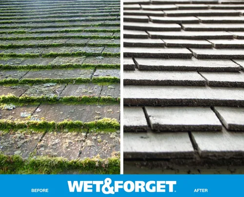 Vista 6 de Wet & Forget Molde de musgo para exteriores, removedor de manchas de hongos y algas, 2 x 0.75 galones
