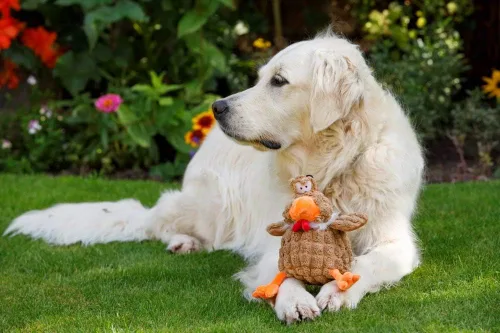 Vista 7 de Petface Farmyard Buddies - Juguete grueso para perros de pollo