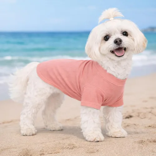 Vista 62 de Lovelonglong 2019 - Ropa para mascotas, Disfraces para Perro, Ropa Camisetas en blanco para Perros Grande Medianos Pequeños 100% Algodón 18