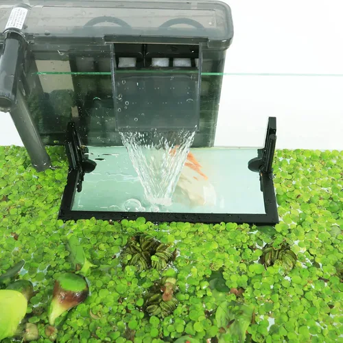 Vista 7 de HOZOE Jaula Flotante para Plantas de Acuario, Plantas Flotantes que Impiden el Paso de Filtros y Calentadores, Altura Ajustable con Nivel de Agua