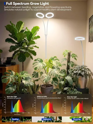 Vista 2 de GLOWRIUM Luces de cultivo para plantas de interior, lámpara de pie LED de espectro completo con soporte de altura y ángulo ajustables, luz