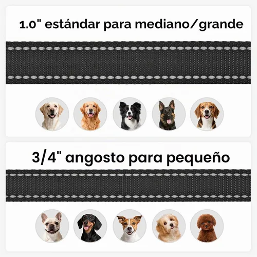 Vista 6 de Joytale - Correa reflectante de doble cara para perro, 6, 5 y 4 pies, resistente de nailon, asa acolchada, para pasear perros pequeños y medianos