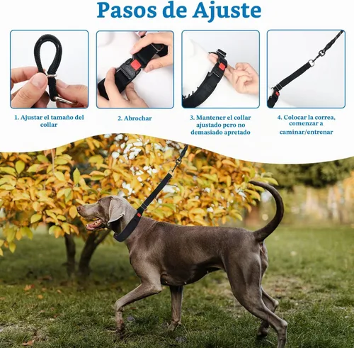 Vista 6 de Mayerzon Collar para perro, patentado Martingala, collar antitirones para perros pequeños, medianos y grandes, con hebilla para paseo y Negro