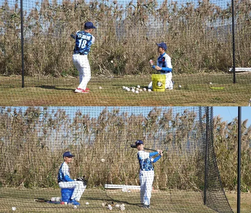 Vista 9 de Jaula de bateo de béisbol, redes de béisbol de 20/35/55/70 pies para jaula de bateo, redes de jaula de bateo de béisbol y sóftbol para entrenamiento