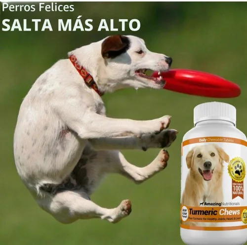 Vista 3 de Antioxidante de Cúrcuma para los perros, elimina la inflamación del dolor articular, 120 masticables