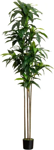 Vista 9 de Nearly Natural Planta de seda Dracaena de 6 pies (tacto real)