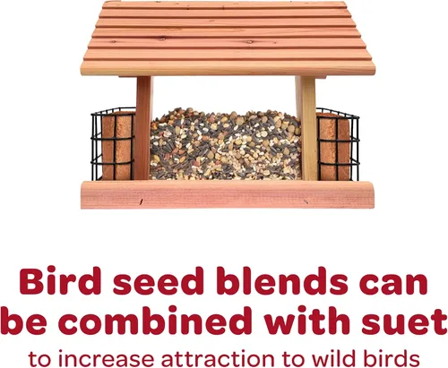Vista 26 de Kaytee Wild Bird Mezcla de Alimento para Pinzones, 3 lb