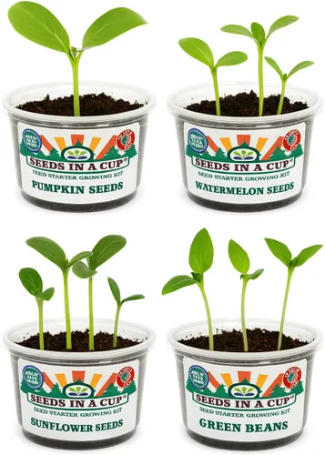 Vista 7 de Kit de cultivo de hierbas Iniciador de jardín de hierbas para interiores Semillas y tierra de primera calidad Paquete de 3 hierbas Múltiples