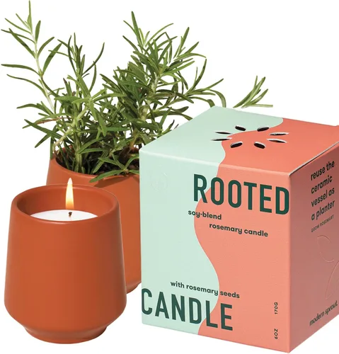 Vista 11 de Modern Sprout Rooted Candle - Vela perfumada de madera de cedro 2 en 1 y soja con semillas que crece en planta de lavanda, 6 onzas con 42 horas