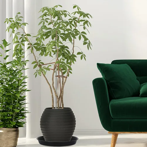 Vista 5 de Paquete de 8 Platillos de Plástico para Plantas de 10 Pulgadas 12 Pulgadas 14 Pulgadas 15 Pulgadas Bandejas de Goteo Platillos para Plantas