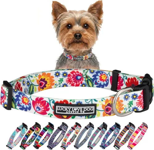 Vista 38 de Lucky Love Dog - Collar para perras pequeñas, diseño Blackbird de estampado alegre con flores de primavera y verano, talla XS Collar Blackbird