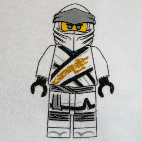 Vista 6 de LEGO Ninjago - Conjunto corto de disfraz de Ninjago Lloyd y Kai para niños pantalones cortos verdes y rojos y camiseta a juego con capucha Verde