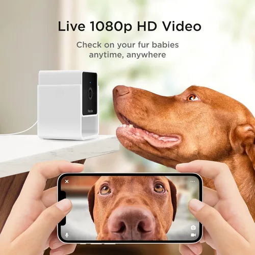 Vista 2 de Petcube Cam Cámara Wi-Fi interior para mascotas y de seguridad con aplicación para teléfono, monitor de mascotas con audio y video bidireccional