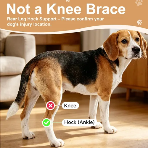 Vista 5 de Dog Leg Brace for Back Leg Support Adjustable Hock & Ankle Compression Wrap