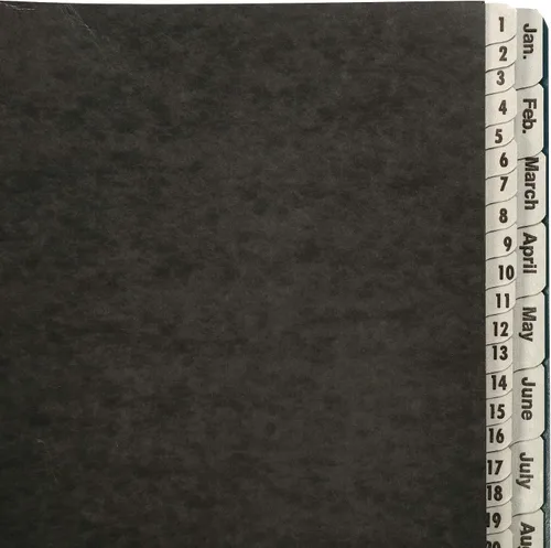 Vista 2 de Amazon Basics Clasificador de archivos de escritorio expandible, organizador de papel diario y mensual, tamaño carta, negro
