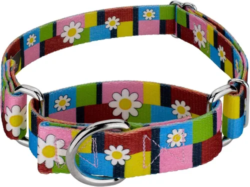 Vista 12 de Country Brook Petz - Collar de perro Martingale, collar de entrenamiento resistente, colección floral vibrante con diseños encantadores, campos