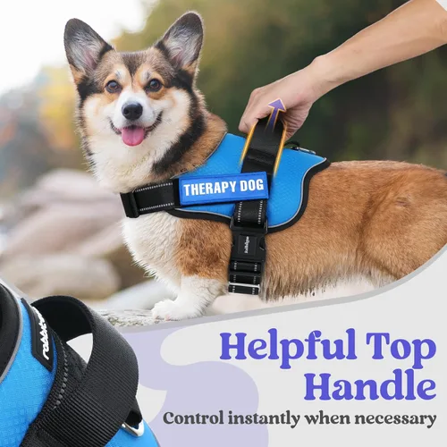 Vista 5 de rabbitgoo Arnés para perro pequeño, chaleco fácil de poner para mascotas con una hebilla, arnés de servicio ajustable sin tirones con anillo en D