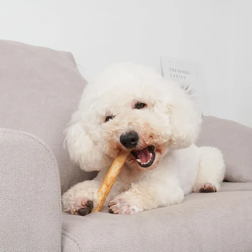 Vista 4 de MON2SUN Rollos de rawhide para perro con forma de Twist Sticks de 6.5 pulgadas, golosinas masticables sabor pollo, 18 unidades para cachorros