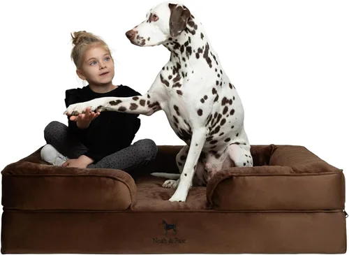 Vista 15 de NOAH & PAW Cama para perros pequeños, 20 x 15 x 8 pulgadas, cama para gatos de interior, espuma viscoelástica ortopédica de cáscara de huevo