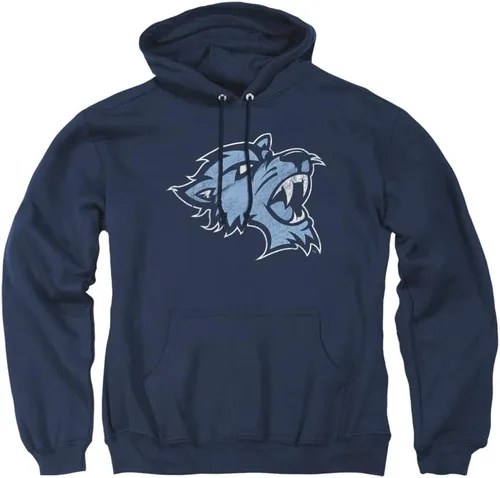 Vista 9 de Distressed College Primary Logo Adult Pullover Hoodie Collection 1 Universidad Estatal de Albany