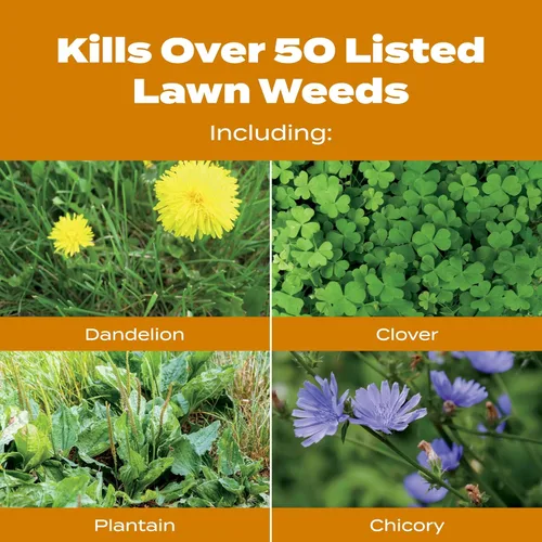 Vista 6 de Scotts Turf Builder WinterGuard Fall Weed & Feed3, Herbicida Plus Fertilizante de Otoño, 4,000 pies cuadrados, 11.43 libras. Weed Killer Plus