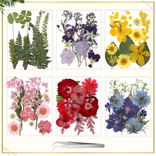Vista 3 de Bucherry Marco de vidrio para bricolaje, arte de flores prensadas, marco de fotos colgante de latón con cadena y 6 estilos de flores prensadas