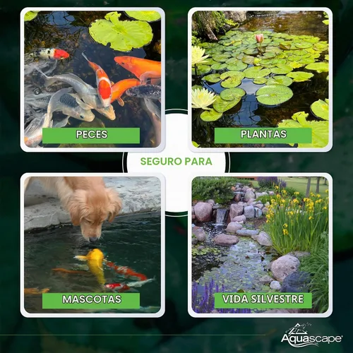 Vista 6 de Aquascape - Bacterias secas y beneficiosas para las características del estanque y del agua., Blanco
