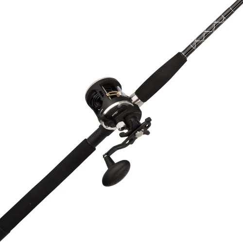 Vista 15 de Penn Rival II Level Wind Conventional Rod and Reel Combo