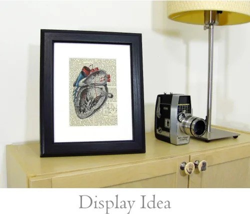 Vista 2 de Jellyfish Discomedusae no. 3 Ernst Haeckel Upcycled Vintage Book Page Art Print 8x10 Unframed